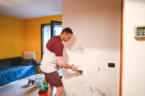 Best Health and Safety Mold Remediation in Whitefish Bay, WI